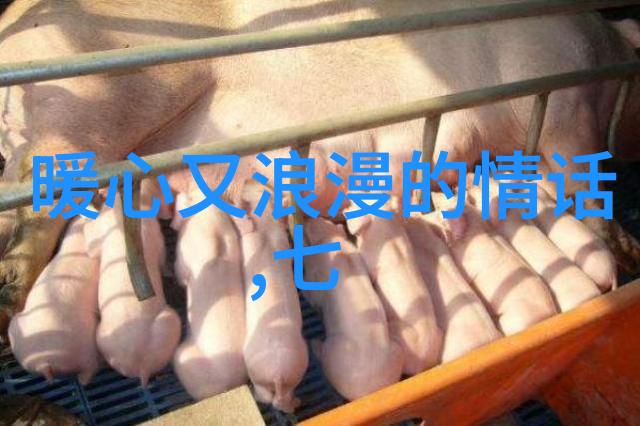 超甜浪漫高级情话浪漫至极的25句情话