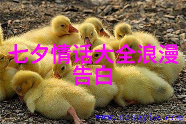 女友压力大怎么挽回