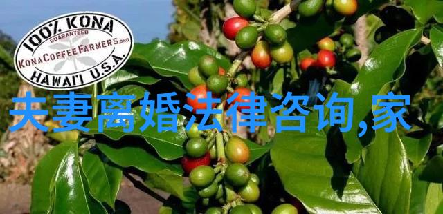 女人遭遇老公家暴最明智的做法是什么